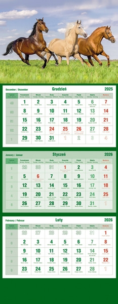 Kalendarz trójdzielny konie T-105T-11 Michalczyk i Prokop